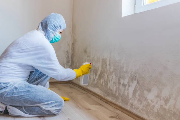 Hvac And Air Duct Mold Remediation inspection of HVAC system in Redmond