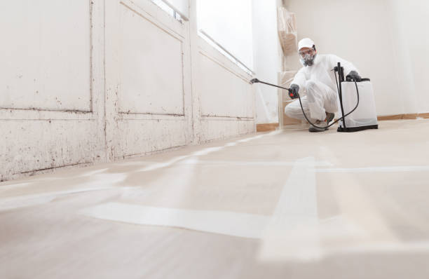 Post-remediation clearance in Redmond